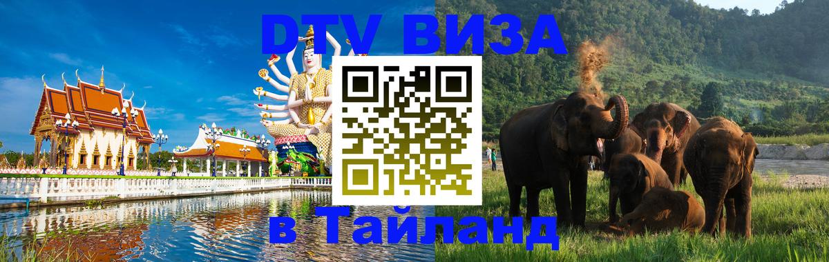 Оформление DTV визы под ключ: стоимость и тарифы, только загранпаспорт - 19.11.2025 